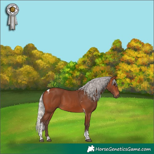 Horse Color:Silver Brown Tobiano 