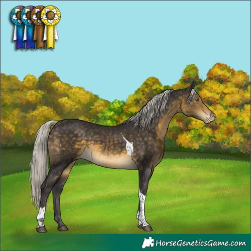Horse Color:Silver Buckskin Tobiano Varnish 