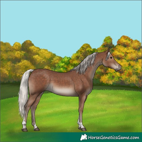 Horse Color:Silver Black Tobiano