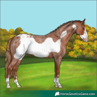 Horse Color:Red Roan Frame Blanket