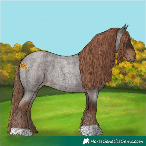 Horse Color:Liver Red Roan