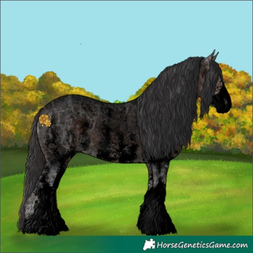 Horse Color:Void Brown Ice Roan Sabino 