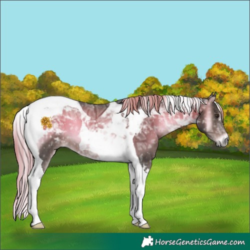 Horse Color:Platinum Liver Red Onyx Ice Tobiano 