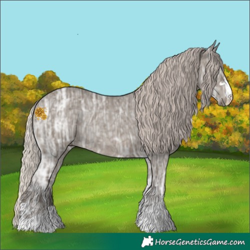Horse Color:Silver Grullo Ice Rabicano 
