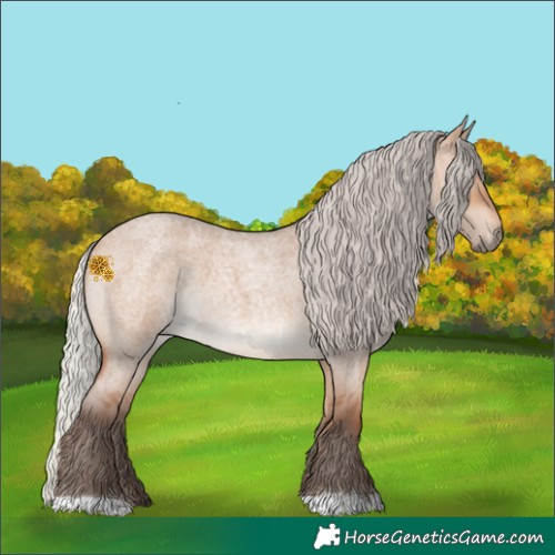 Horse Color:Silver Bay Roan Dun 