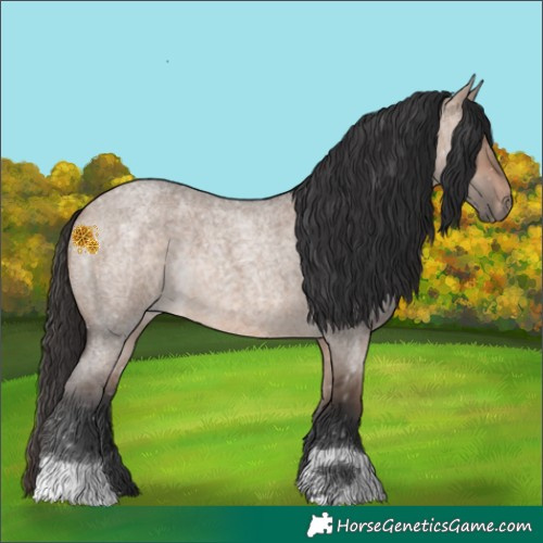 Horse Color:Bay Roan Dun 