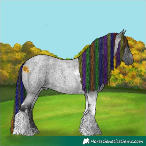 Horse Color:Painted Blue Roan Tobiano 