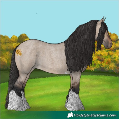 Horse Color:Brown Roan Dun Tobiano 