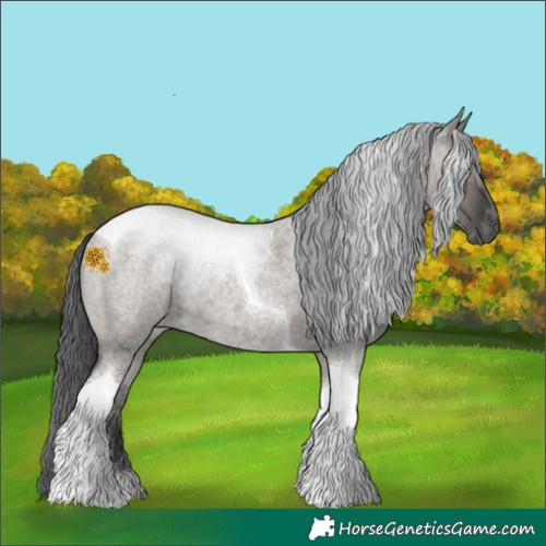 Horse Color:Grullo Roan Merle Tobiano