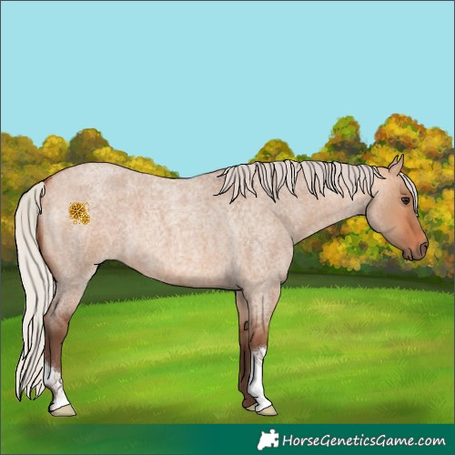 Horse Color:Silver Bay Roan Dun