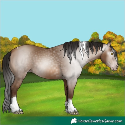 Horse Color:Gray Amber Champagne Tobiano 