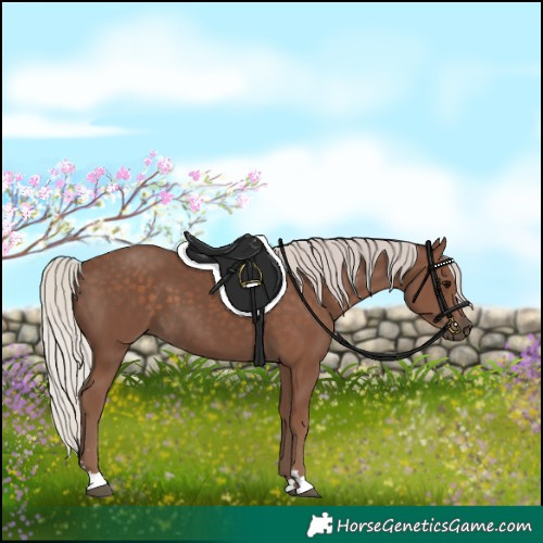 Horse Color:Silver Black 