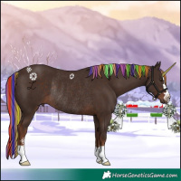 Horse Color:Painted Liver Chestnut Rabicano 
