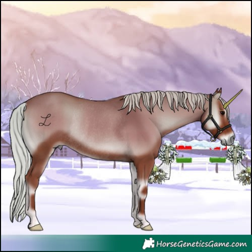 Horse Color:Silver Blue Onyx Rabicano 