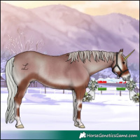 Horse Color:Silver Blue Onyx Rabicano
