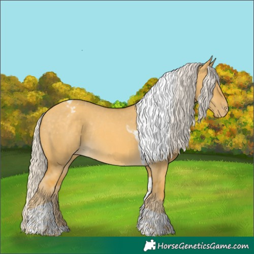 Horse Color:Silver Amber Cream Champagne Dun Tobiano Appaloosa Rabicano