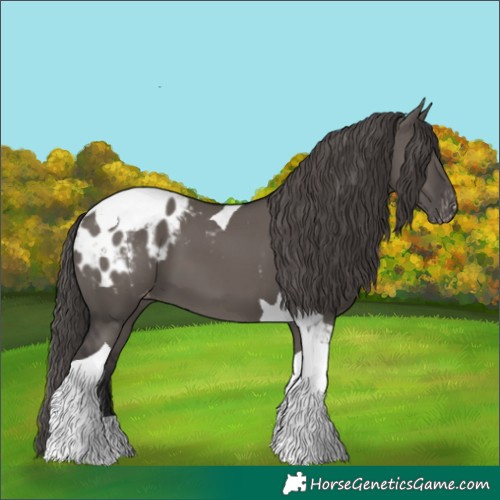 Horse Color:Smoky Grullo Tobiano Blanket 