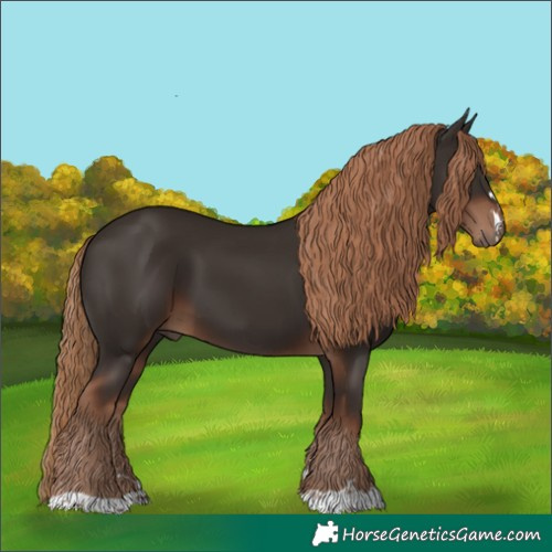 Horse Color:Liver Chestnut