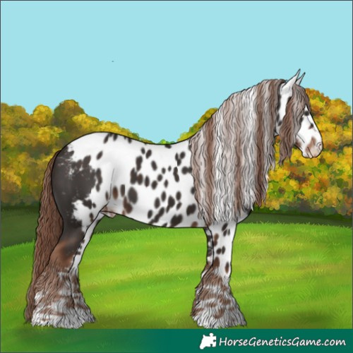Horse Color:Liver Chestnut Skewed LP Spotted 