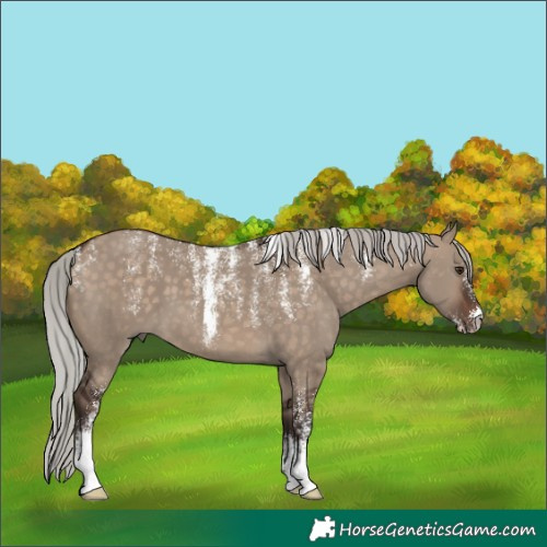 Horse Color:Powder White Silver Brown Dun 