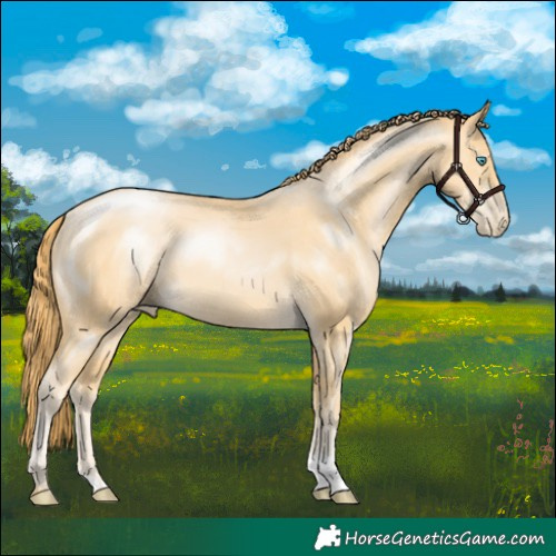 Horse Color:Buckskin Pearl