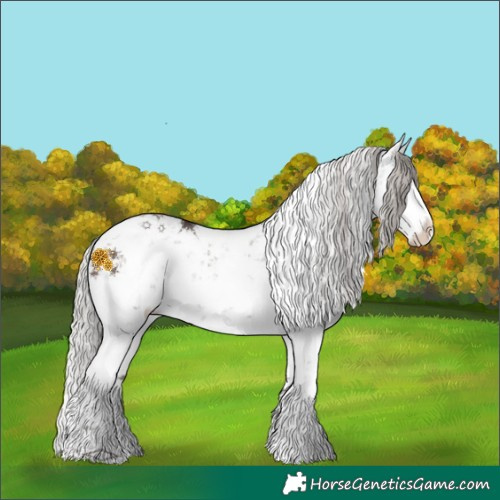 Horse Color:White Spotted Silver Brown Sabino 