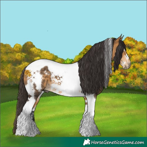 Horse Color:Buckskin Tobiano Frame 