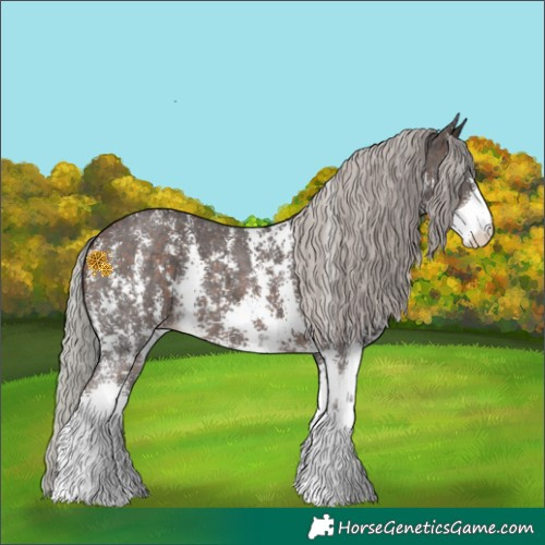 Horse Color:Silver Brown Sabino