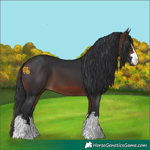 Horse Color:Brown 