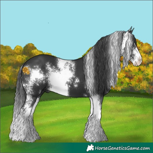 Horse Color:Black Sabino