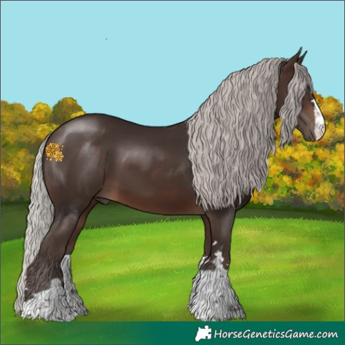 Horse Color:Silver Brown 
