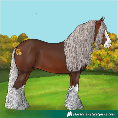 Horse Color:Silver Brown Splash