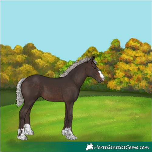 Horse Color:Silver Brown 