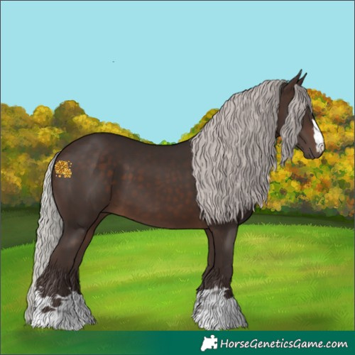 Horse Color:Silver Brown 