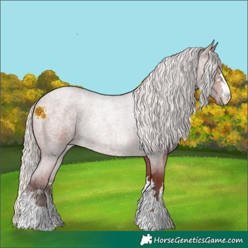 Horse Color:Chocolate Silver Brown Roan