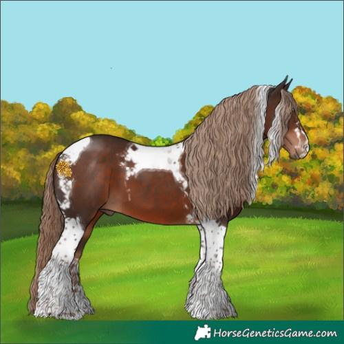 Horse Color:Liver Chestnut Tobiano 