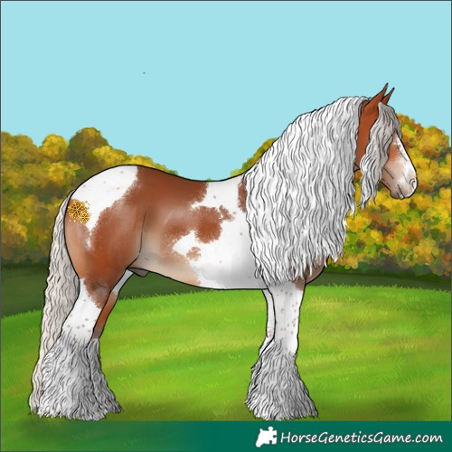 Horse Color:Silver Bay Tobiano 