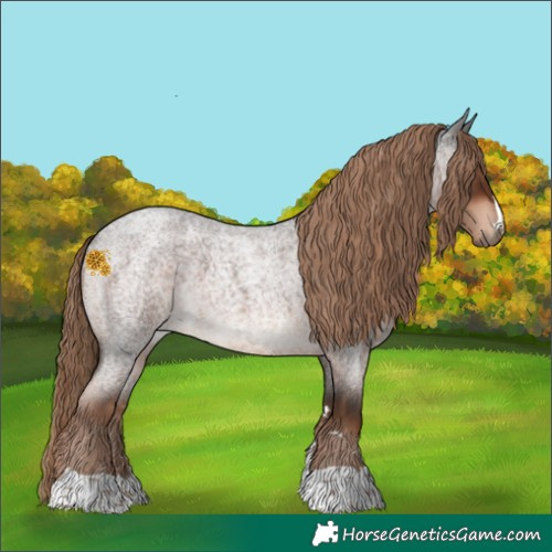 Horse Color:Liver Red Roan