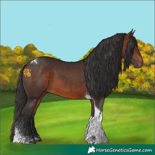 Horse Color:Bay Tobiano 