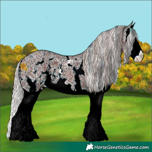 Horse Color:Chocolate Silver Brown Sabino Splash