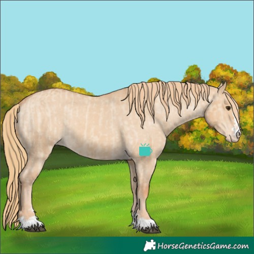 Horse Color:Red Dun Appaloosa  and Red Dun Appaloosa 
