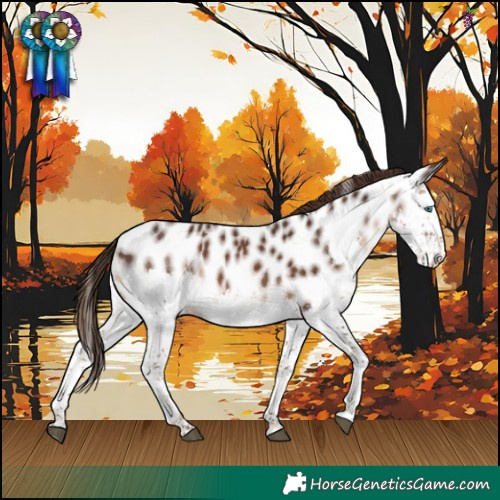 Horse Color:Liver Chestnut Splash Near Leopard 