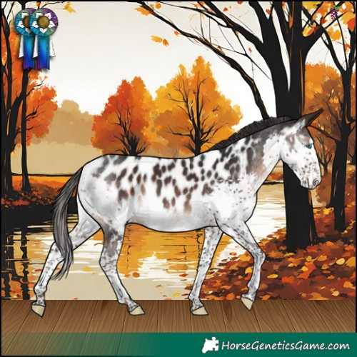 Horse Color:Brown Splash Near Leopard 