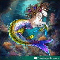 Horse Color:Black Pearl Splash 