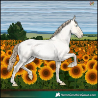 Horse Color:Buckskin Roan Pearl Dun