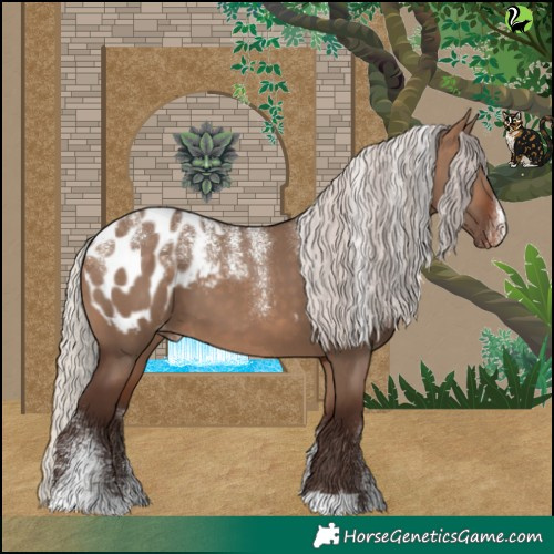 Horse Color:Powder White Silver Bay Dun Appaloosa