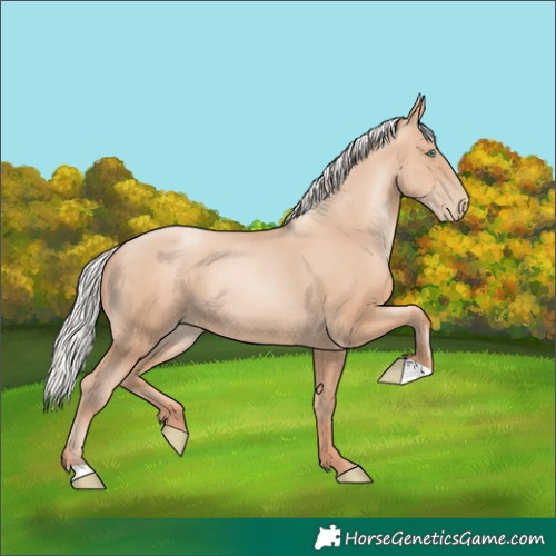 Horse Color:Silver Classic Champagne Pearl 