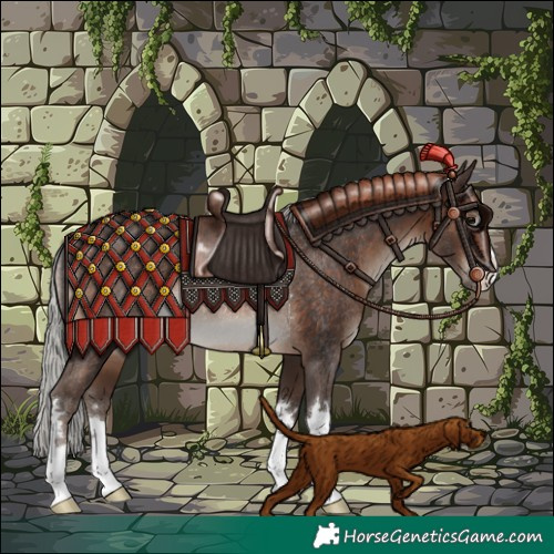 Horse Color:Silver Brown Rabicano