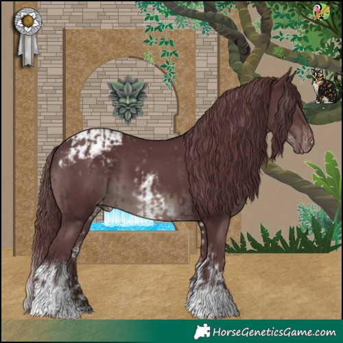 Horse Color:White Spotted Chocolate Black Appaloosa  and Chocolate Black Tobiano Appaloosa 