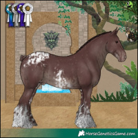 Horse Color:White Spotted Chocolate Black Varnish and Chocolate Black Tobiano Blanket